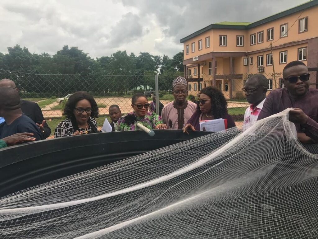 Inspection of the fingerlings in the plastic tank by the University Management Team. From Left: Prof (Mrs) Catherine Ukponwan (DVC, Academics), Prof. Lilian I. Salami (Vice Chancellor), Prof. B. A. Ayinde (DVC, Ekenwan Campus), Prof. (Mrs.) Ijeoma P. Oboh (Centre Director), Mr. S. E. Imhankon (Board Secretary) and Dr. Kenneth Omoruyi (M&E Officer)